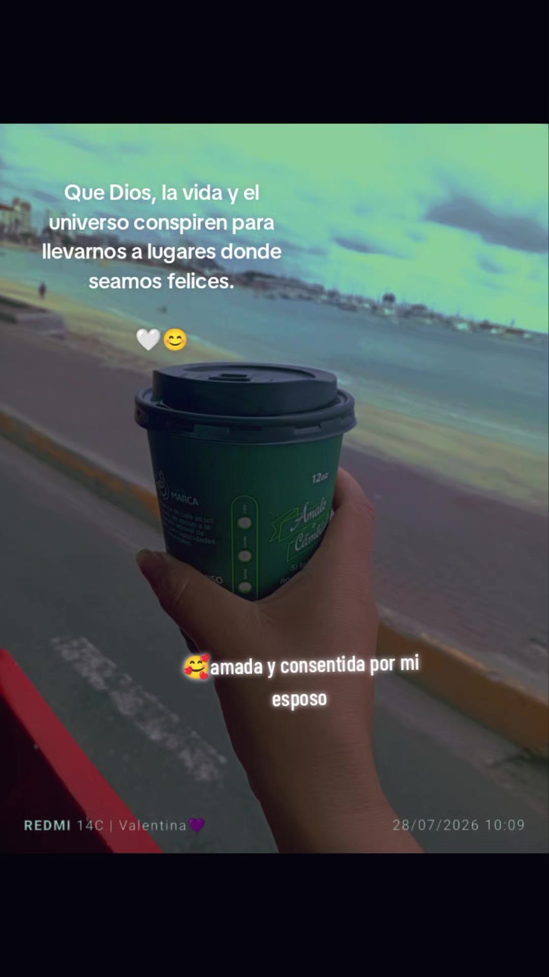 @💔🕊️