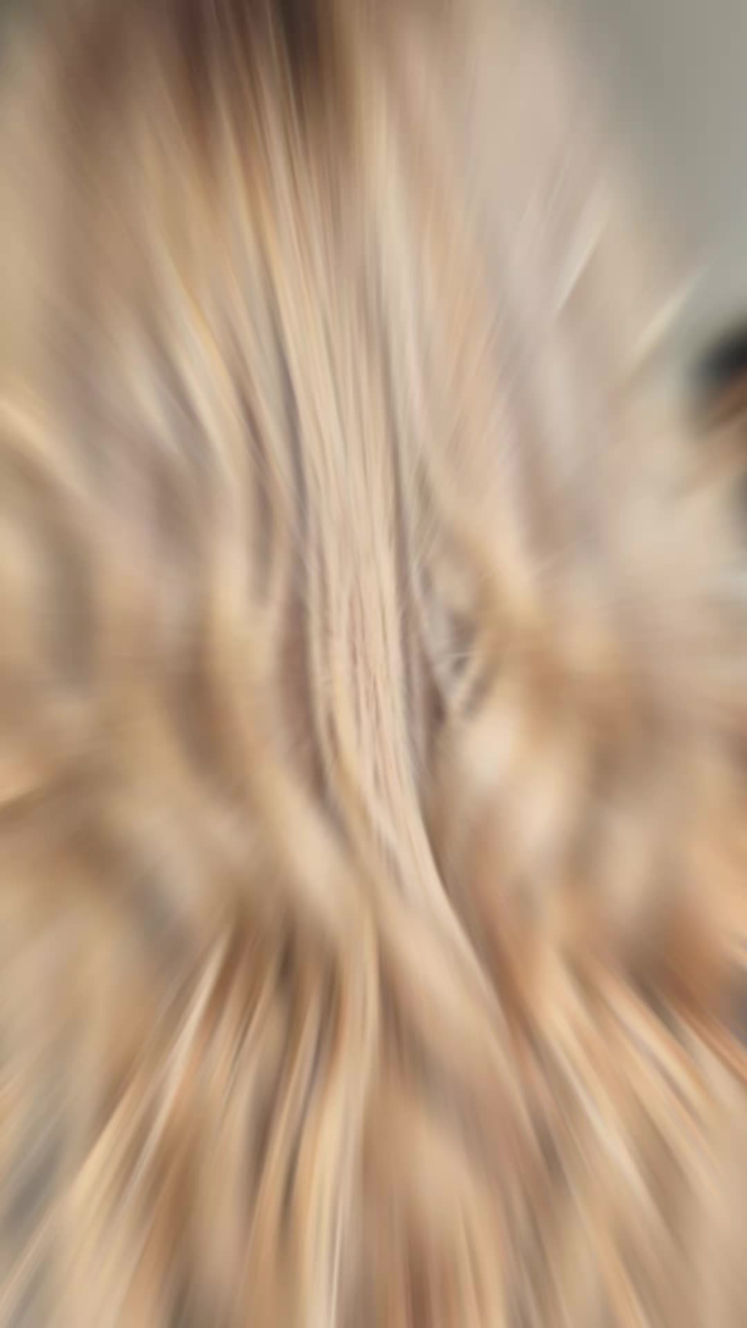 @shona marie hair