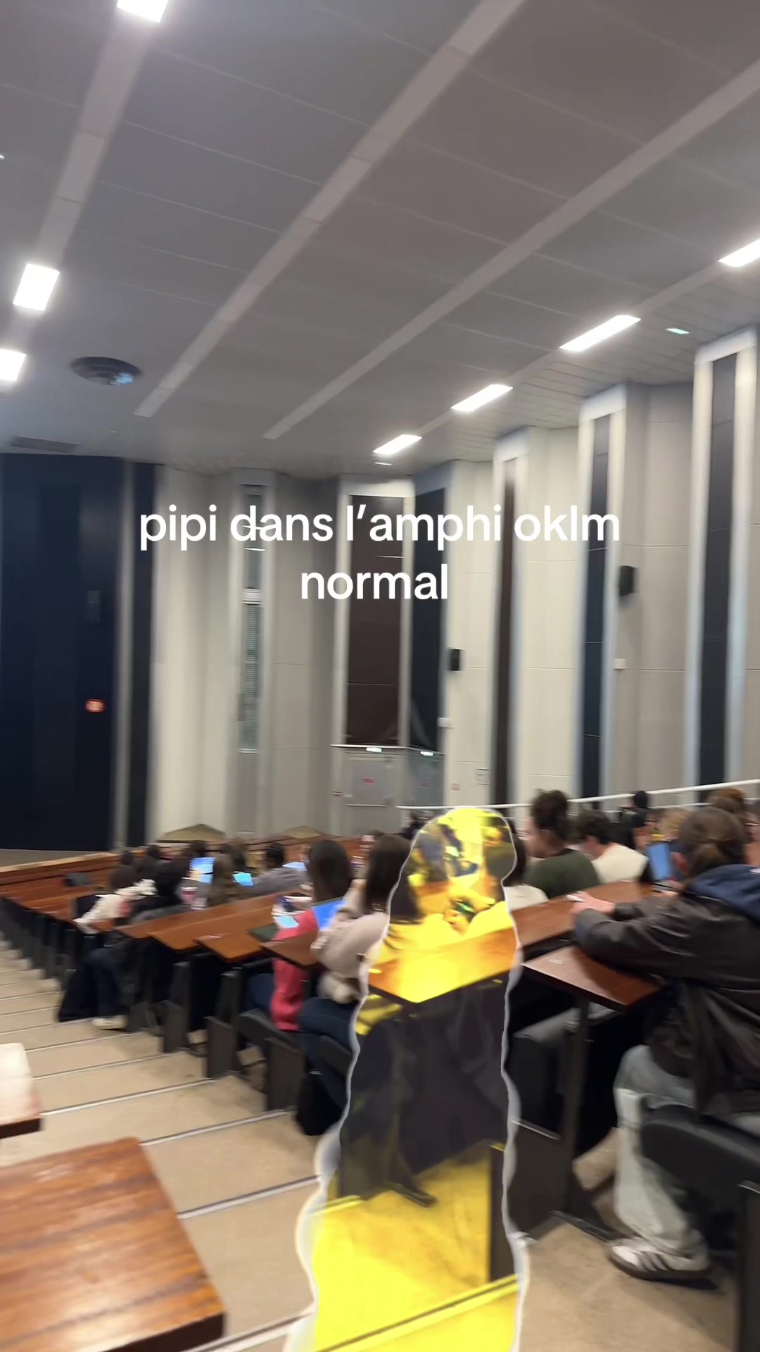 @Jemil Karkoud