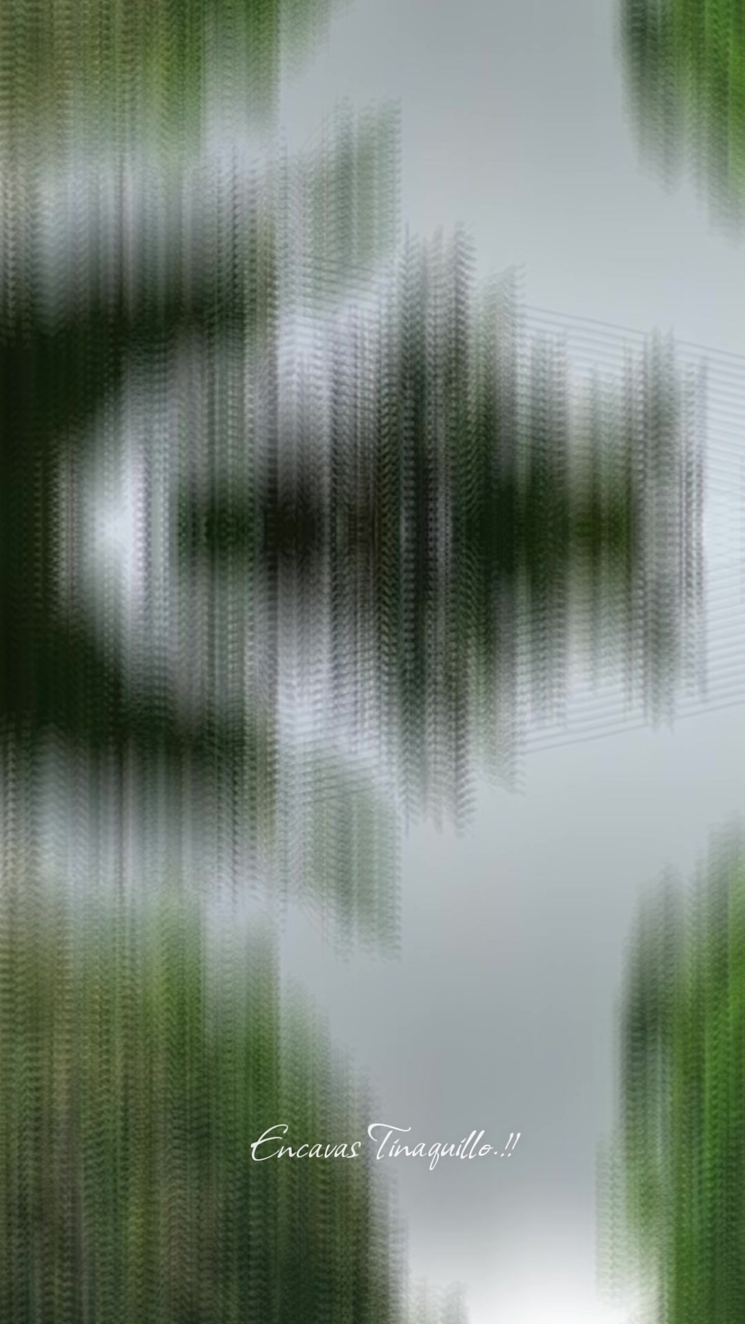 @Encavas Tinaquillo 📸⚡
