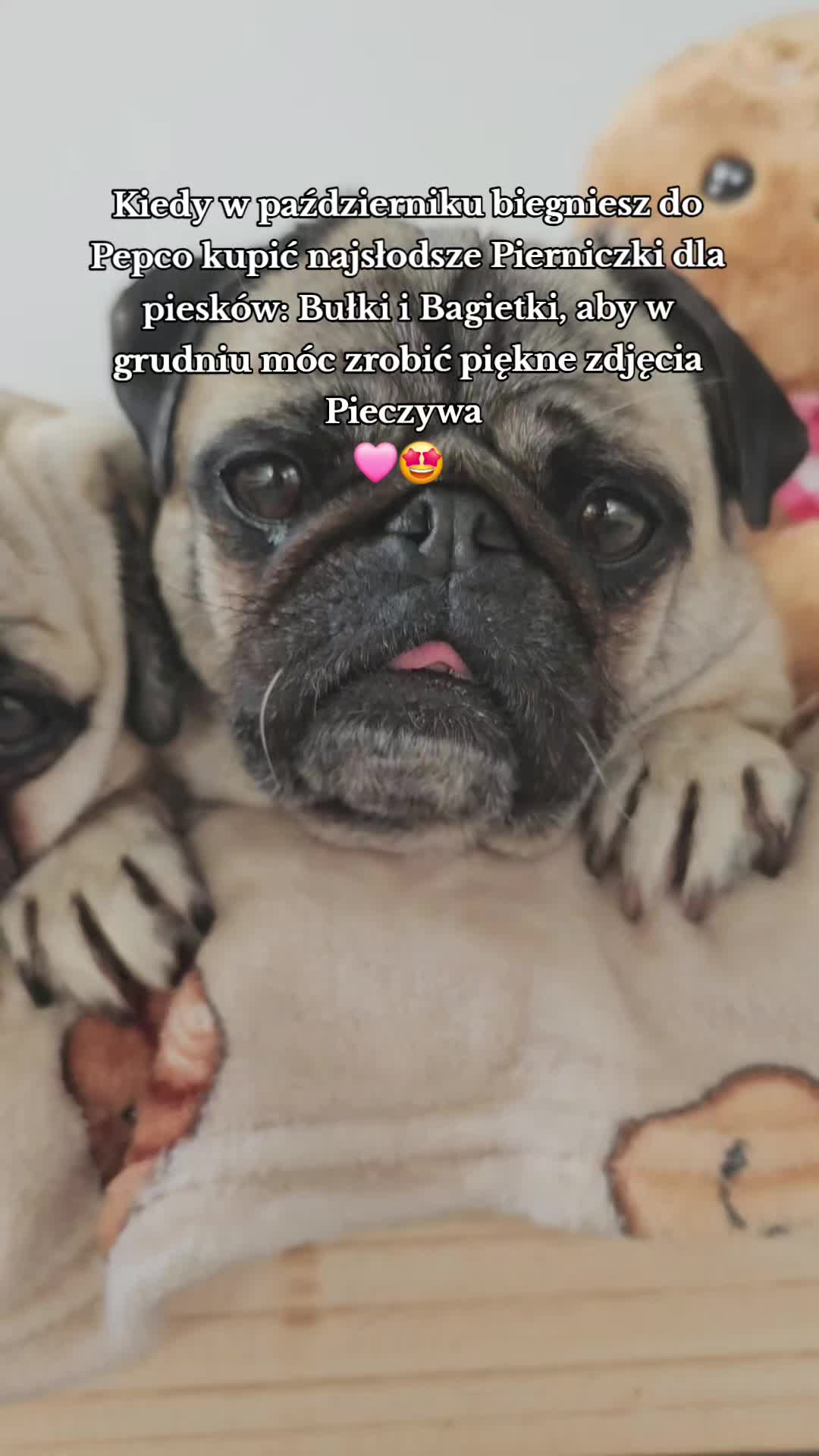 @Wesołe pieczywo