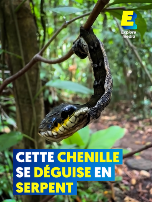 @ExploreFR