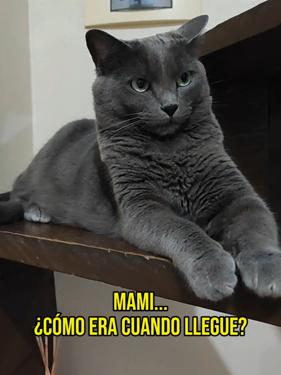 @Bianca Cordero.