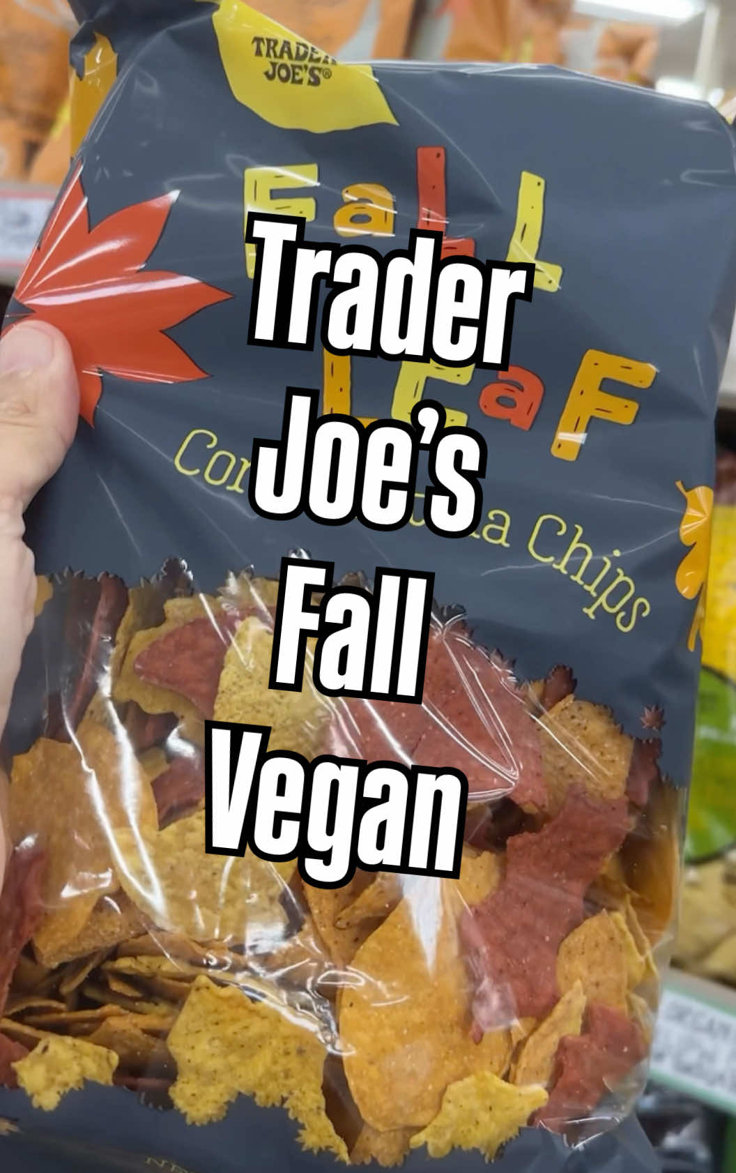 @Vegan Hacks Pod