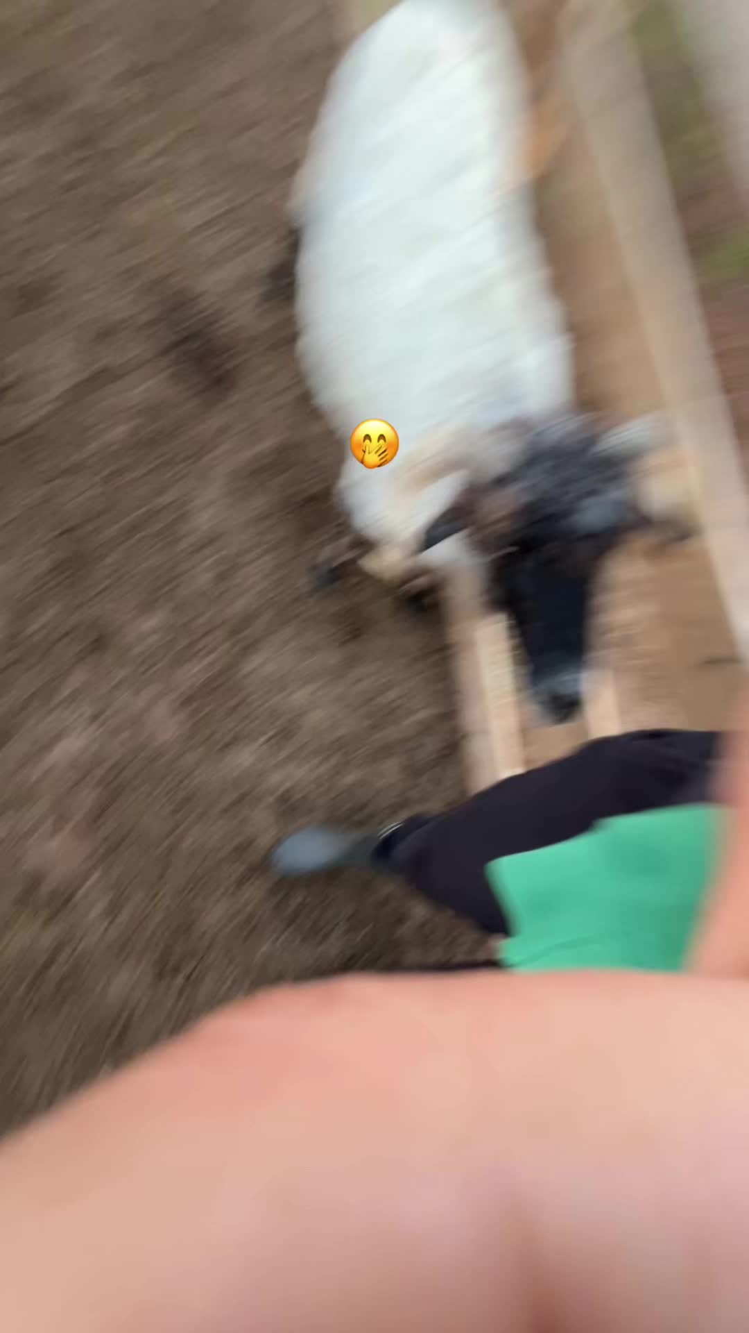 @loredana.iuliana_