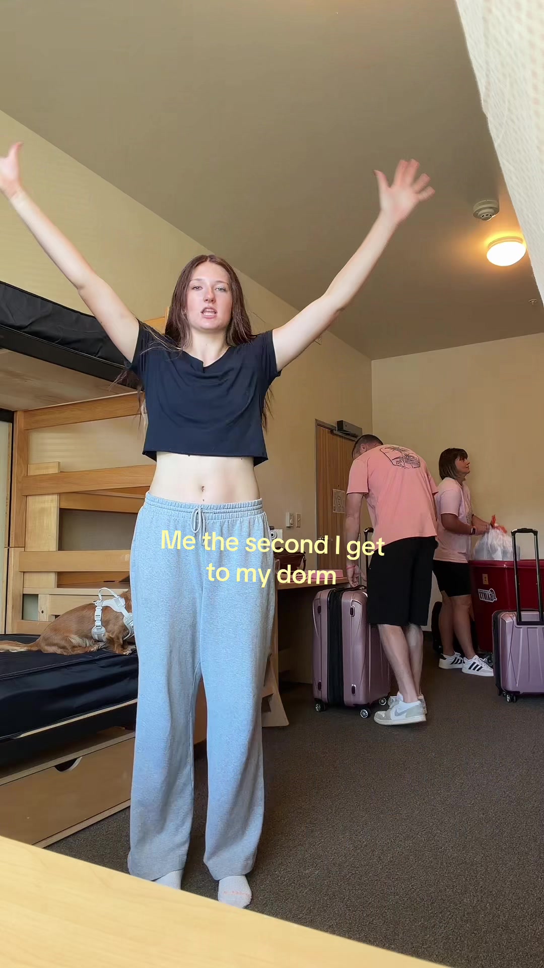 @livybass