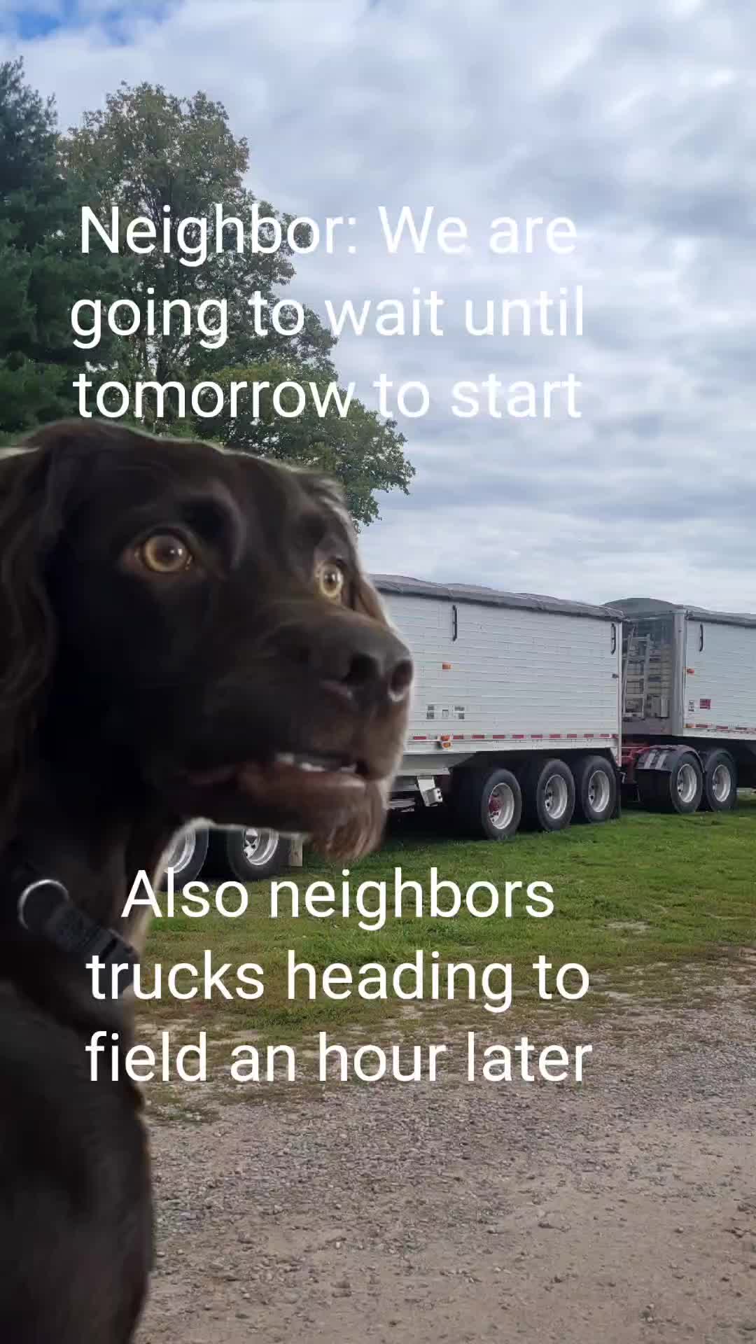 @cchamb