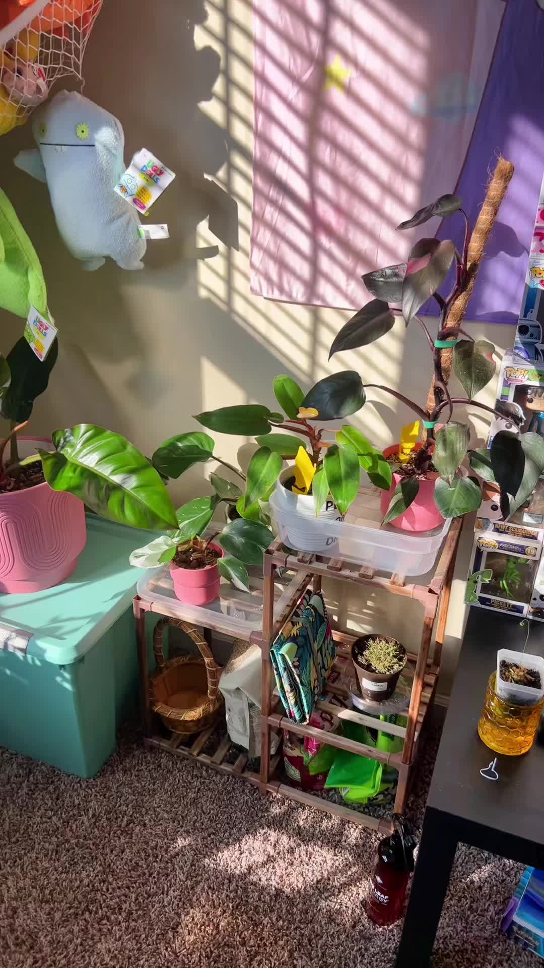 @Alorasaurus