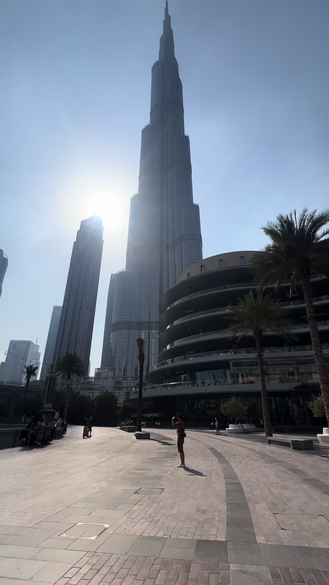 @elsadaiharalen