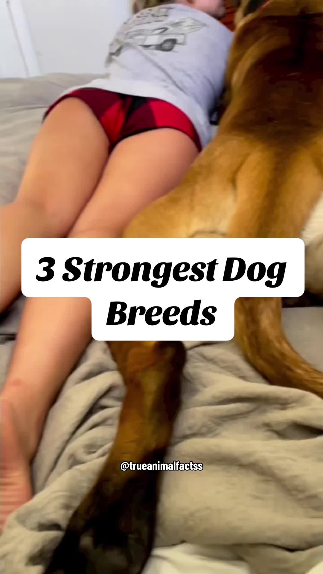 @trueanimalfactss
