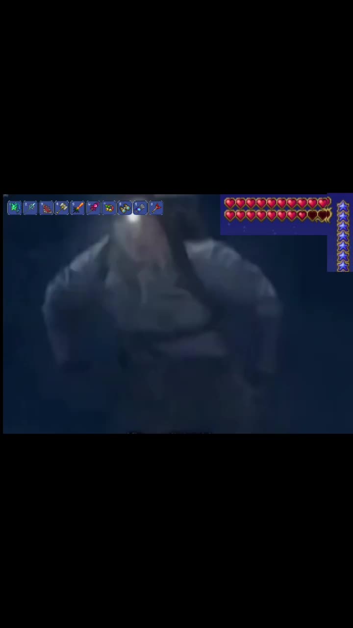 @random terrarian