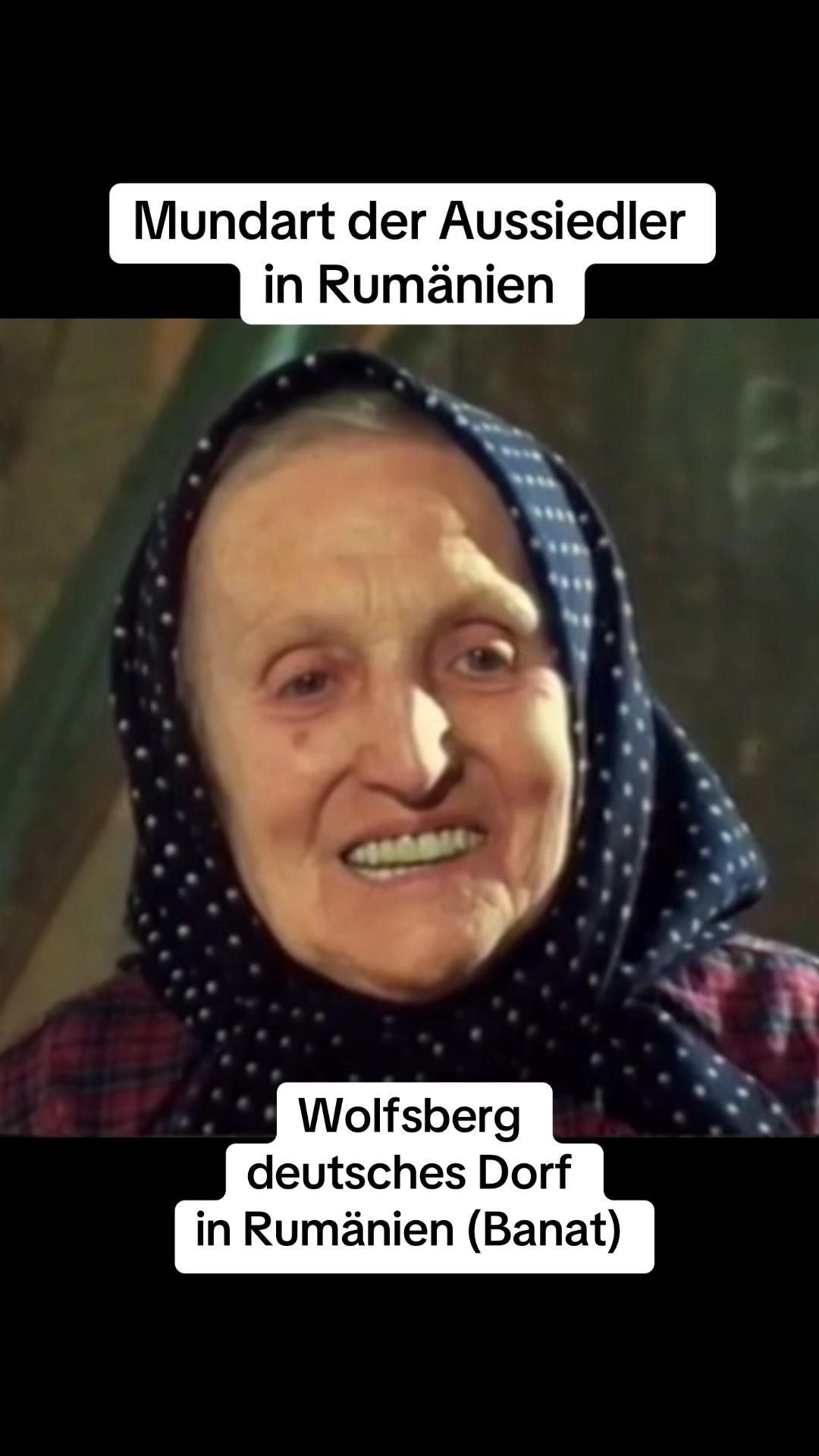 @Aussiedler