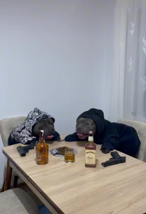 @danijelhorvat505