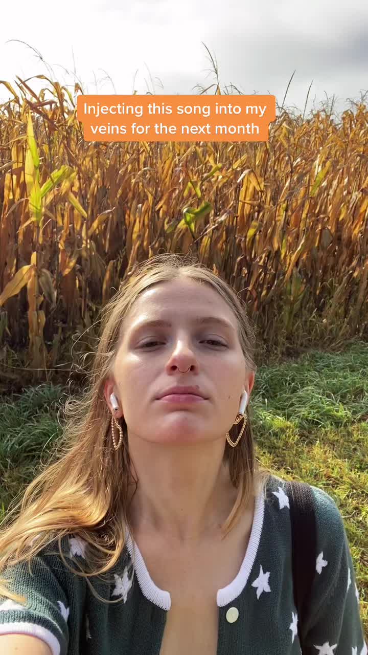 @BONK