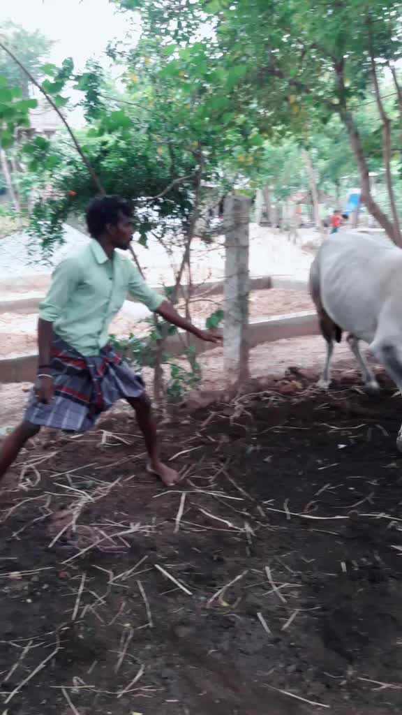 @Jey Sri Ram