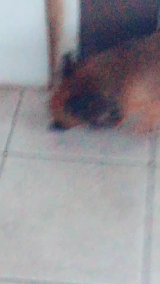 @Lps2111 <3