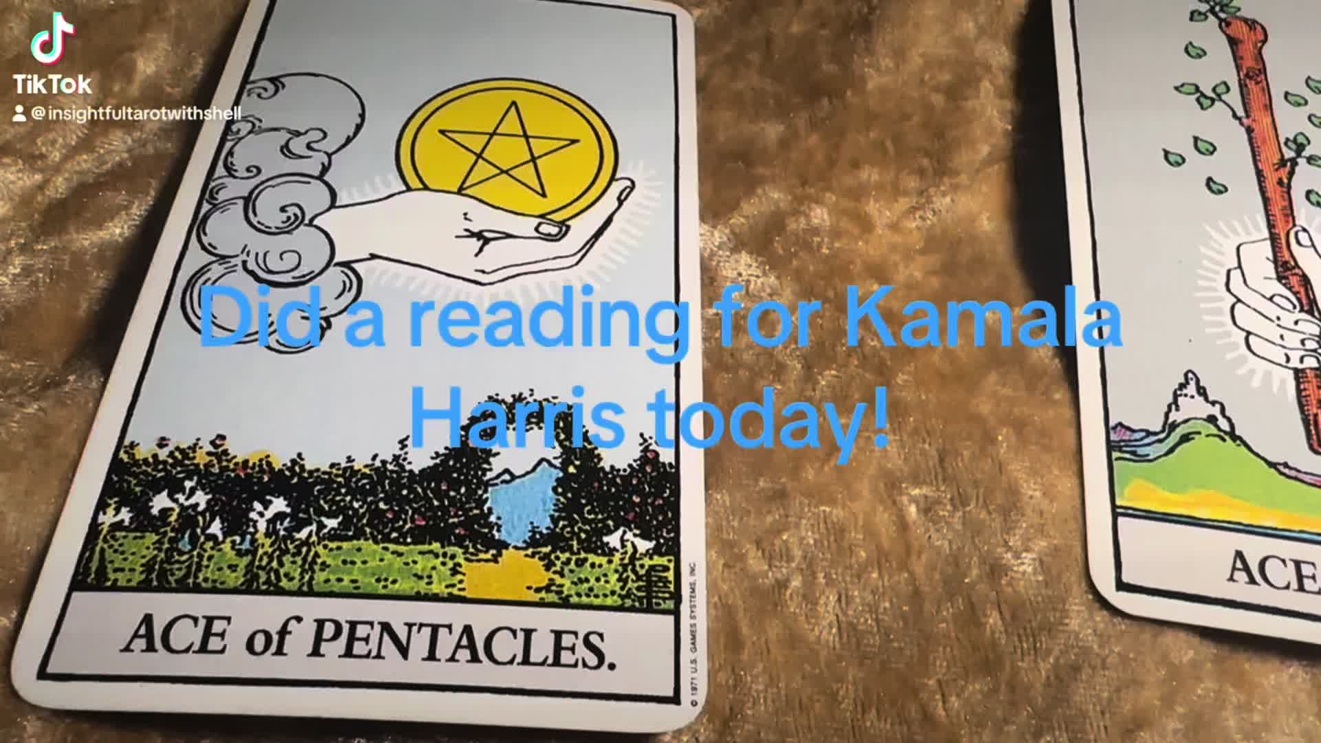 @insightfultarotwithshell