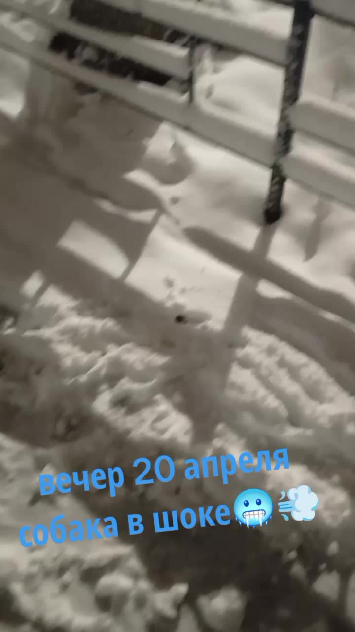 @Елена
