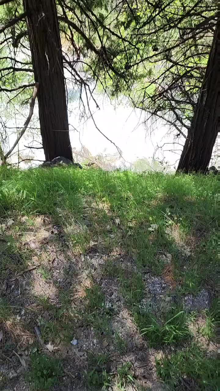 @jcerda9718