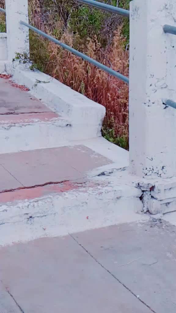 @Sab मोह Maya है👅