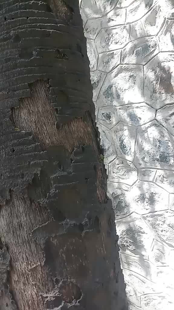 @Rajendran Kandhaiah