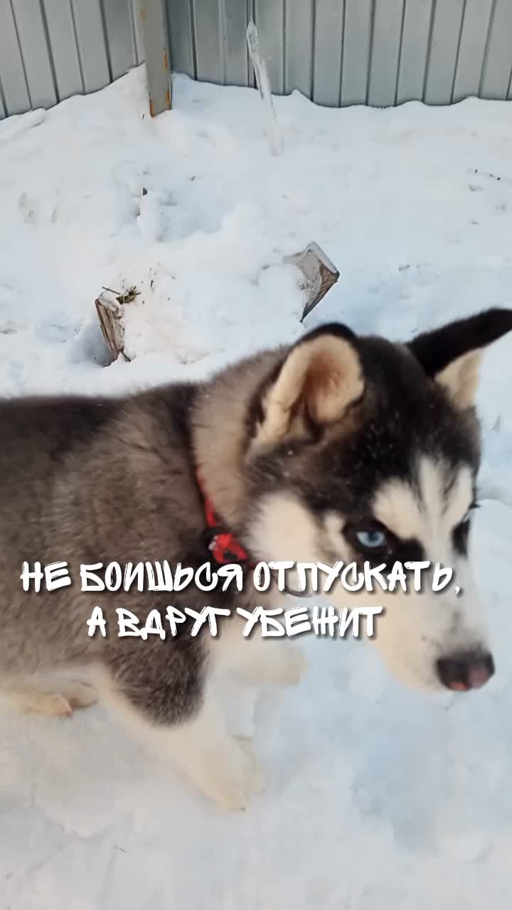 @просто Майа 💗