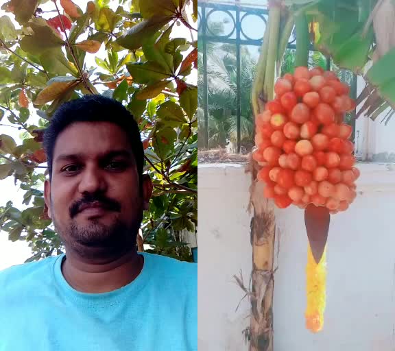 @Ganga Tharan