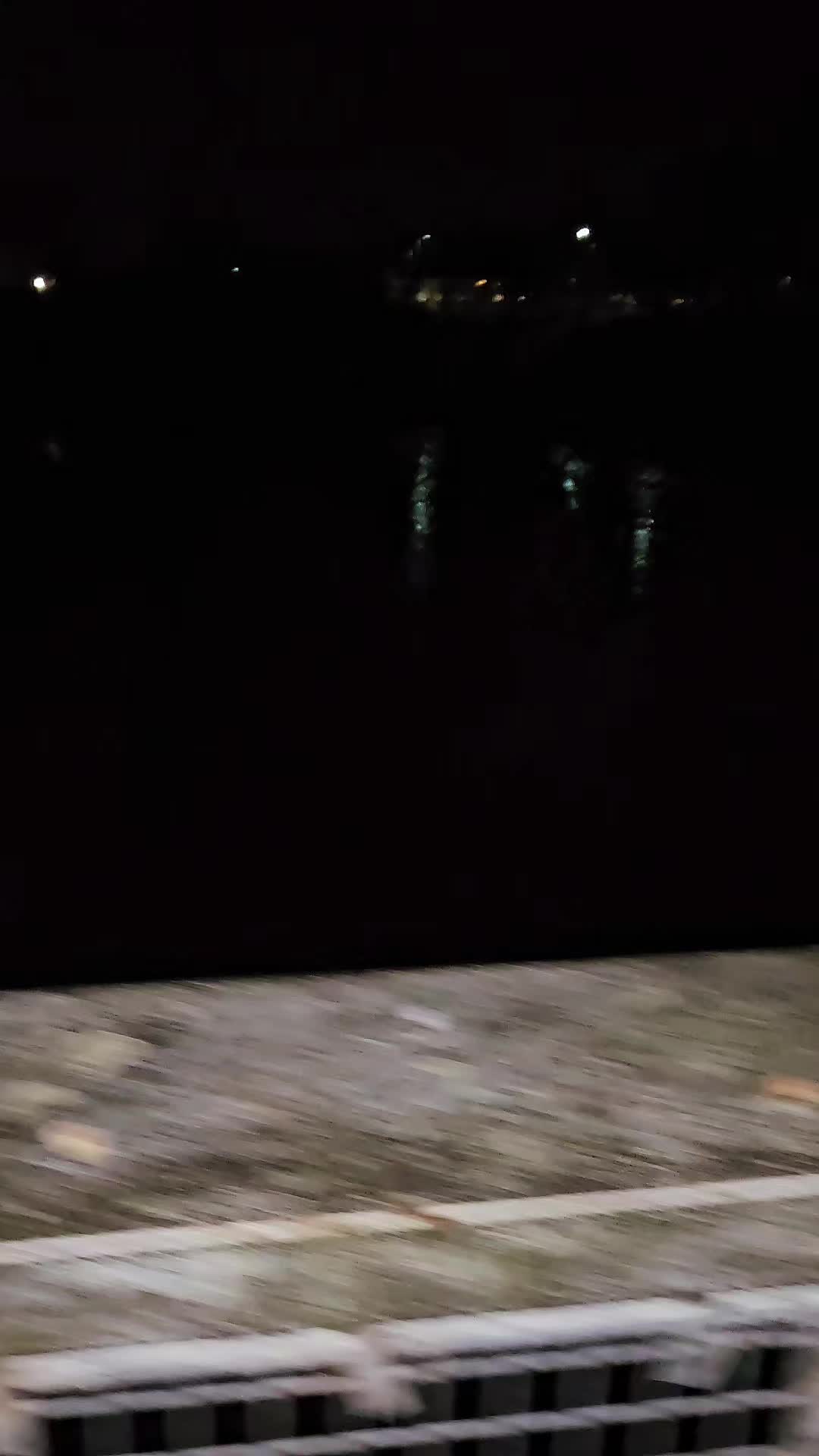@robbietrainer