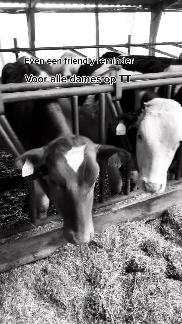 @Tante Til