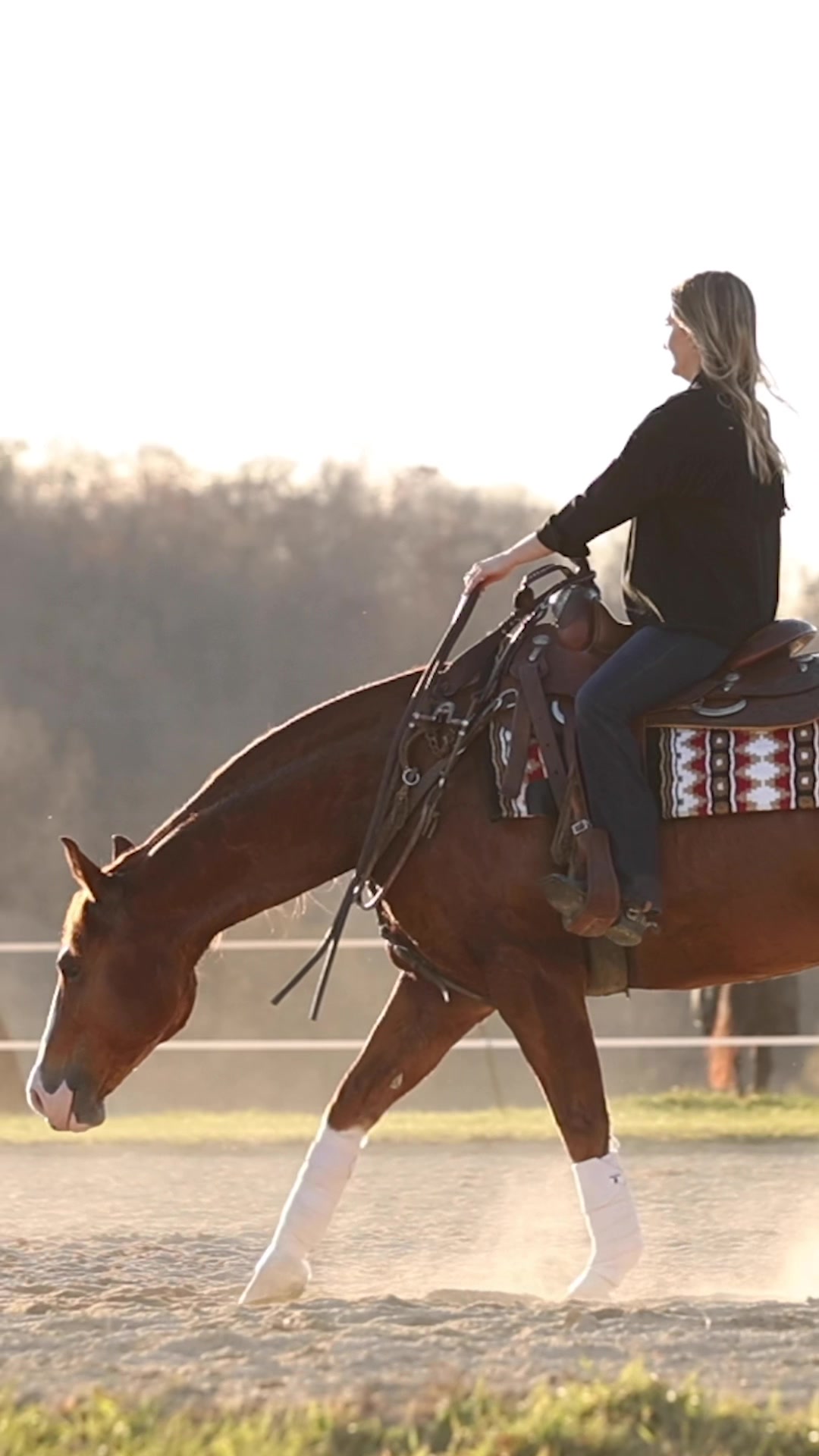 @Rachel ⚡️ Equine Photographer