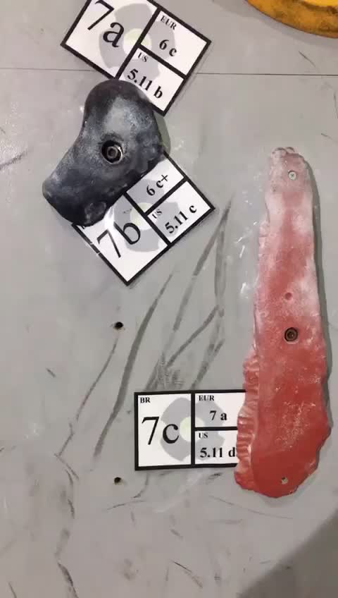 @thl_2018