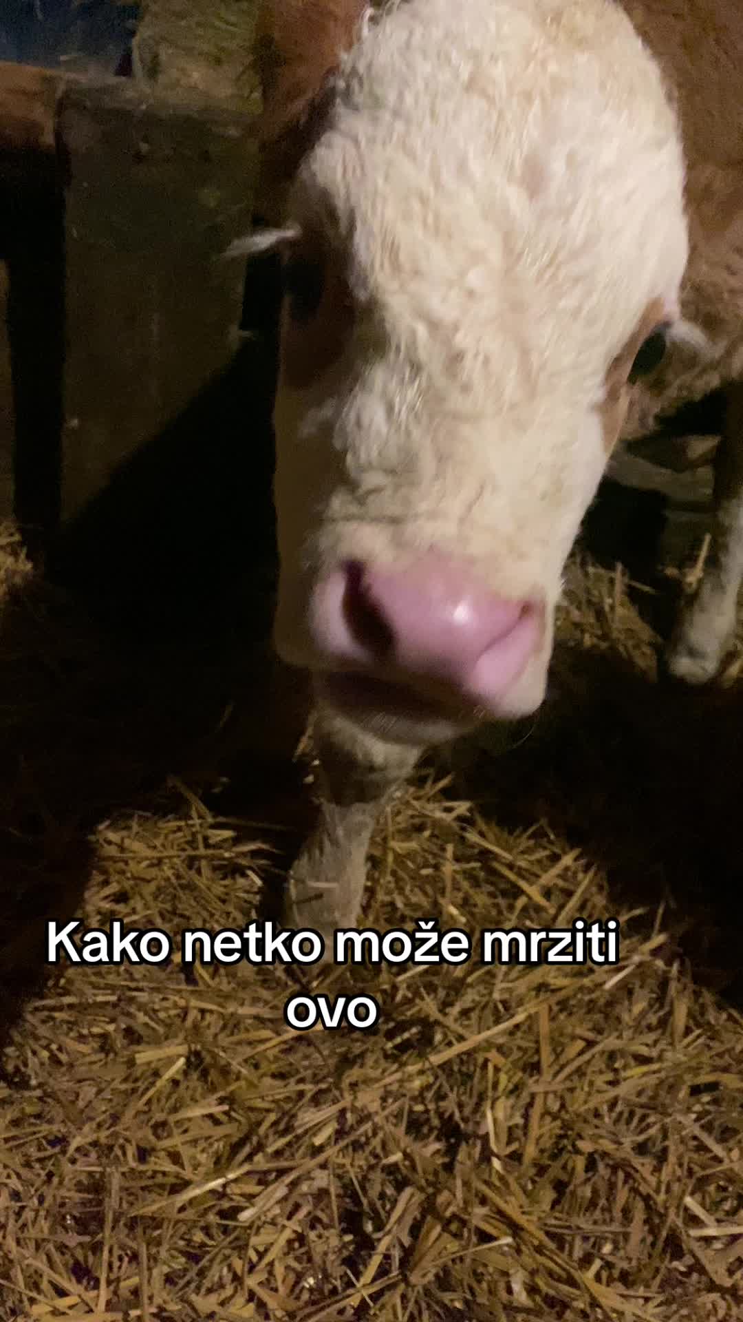 @Vid Hrust