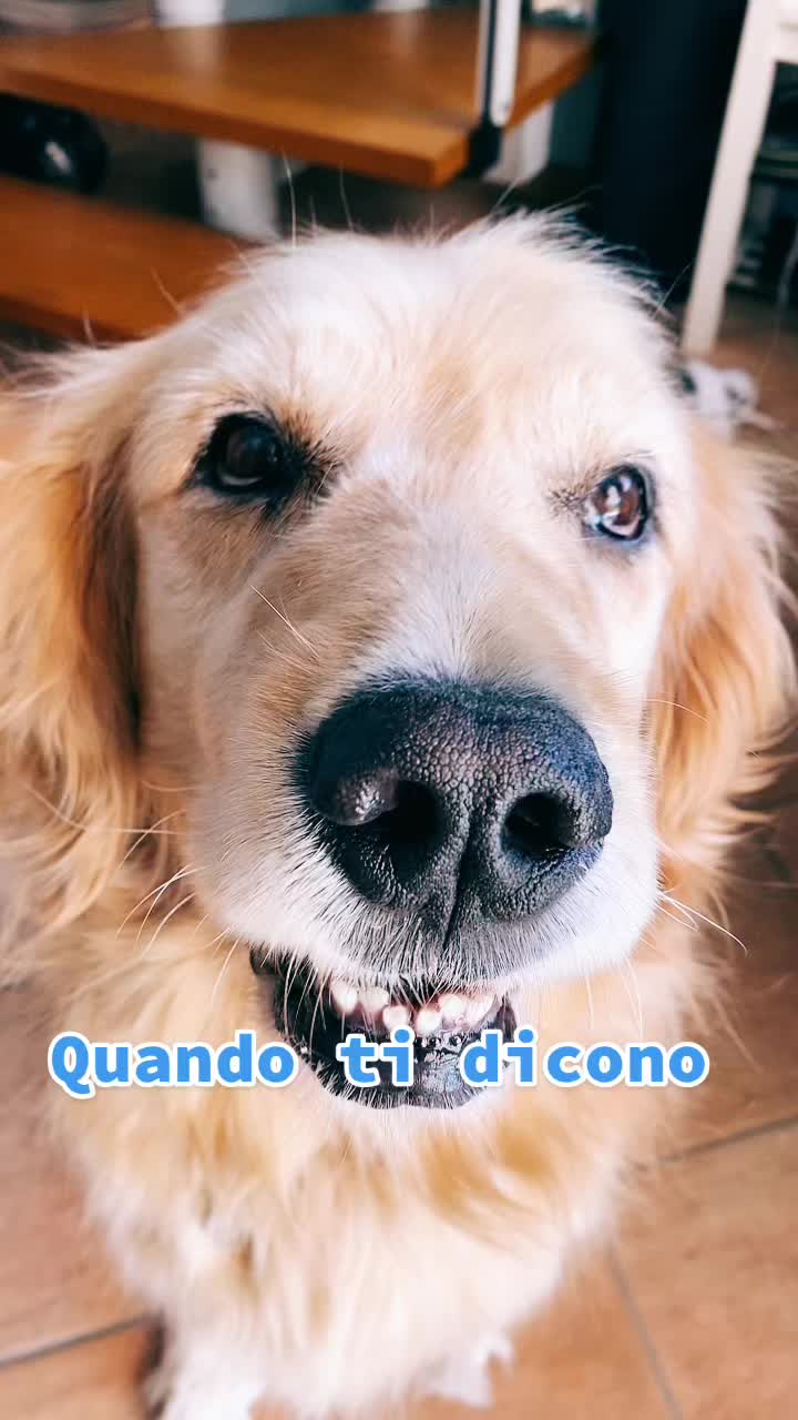@🐶PENNY🐶
