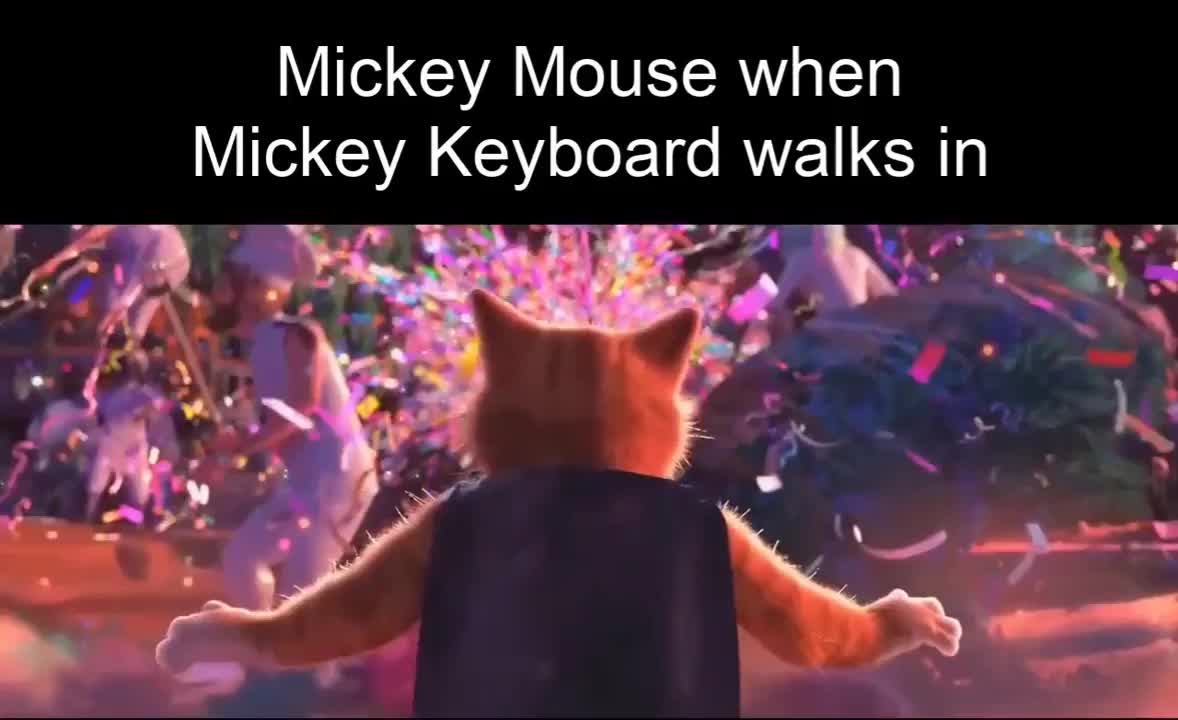 @Viral Content & Memes