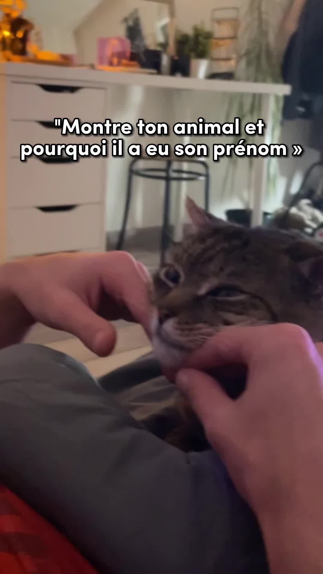 @Mariine