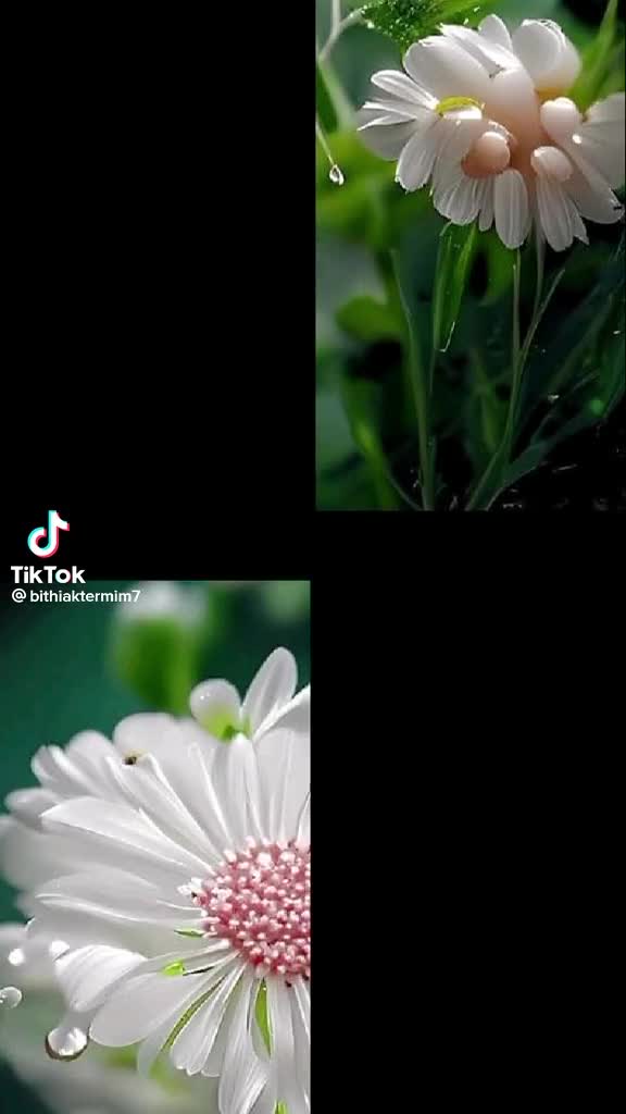 @কষ্ট ভরা জীবন আমার দুঃখ ভরা মন