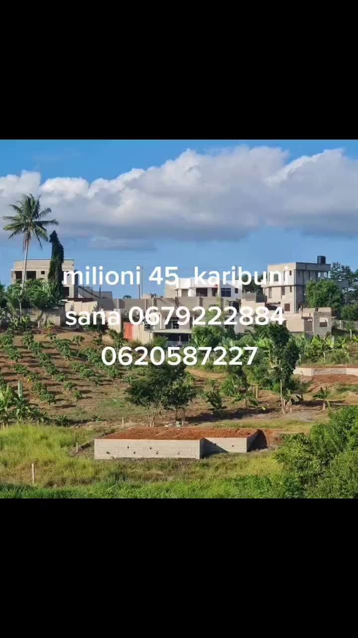 @Dalali mpemba