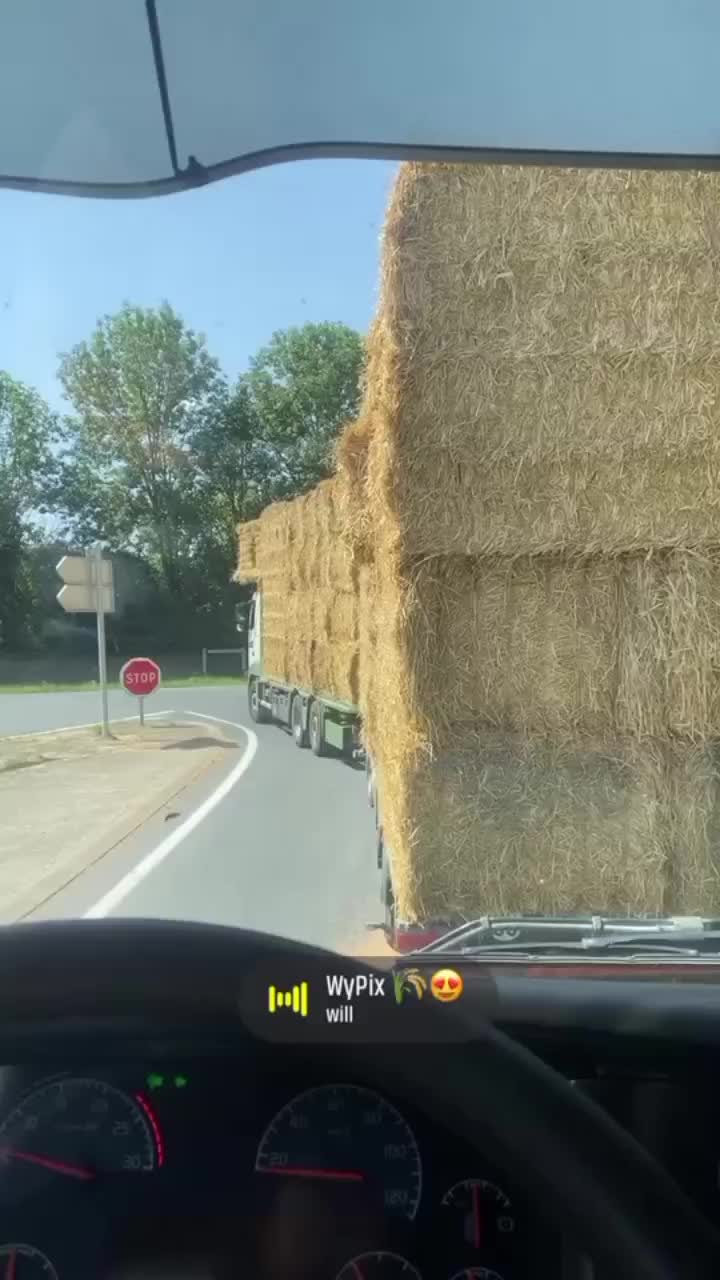 @jrmemarmain