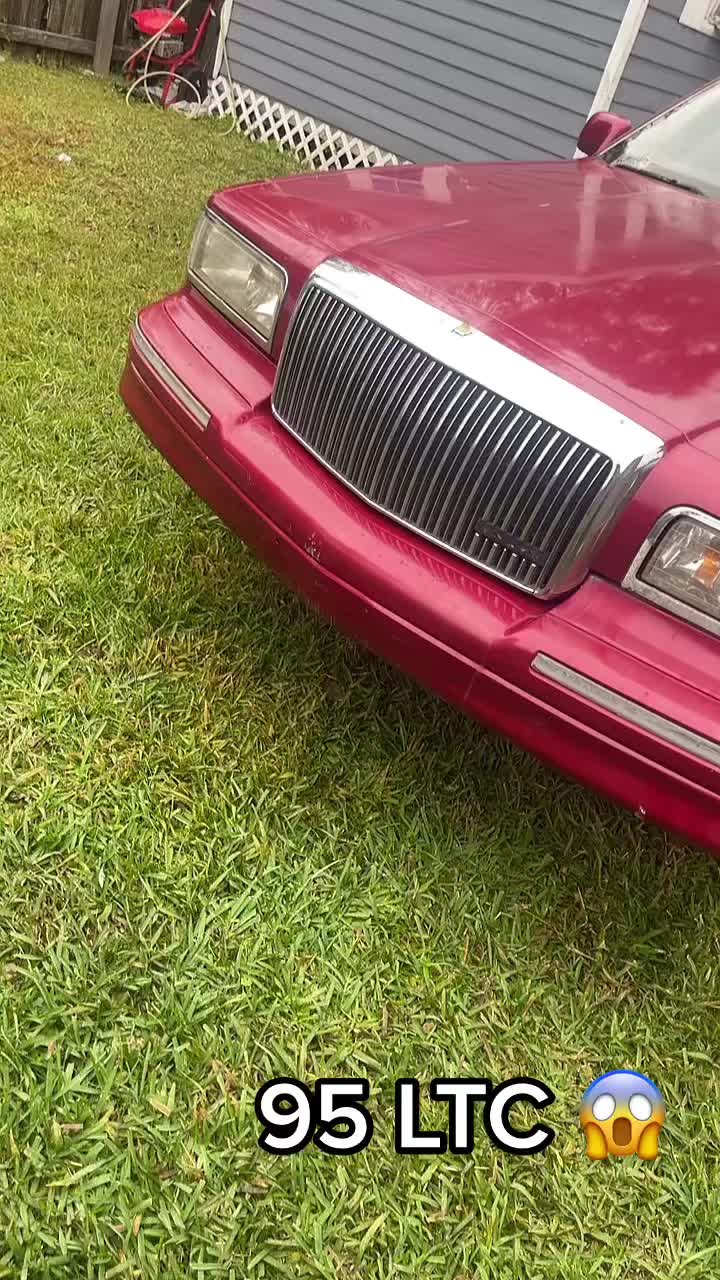 @1995dogmoney