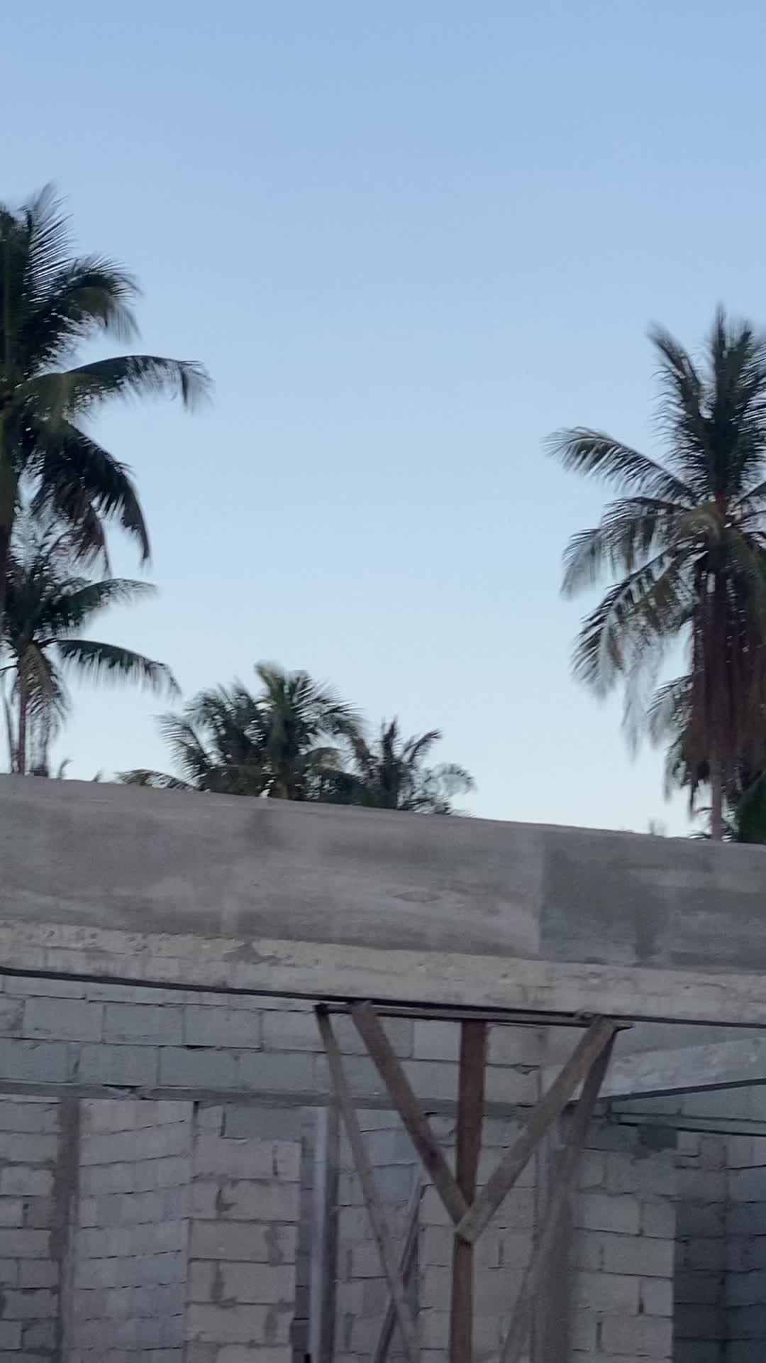 @TENSS🐿️