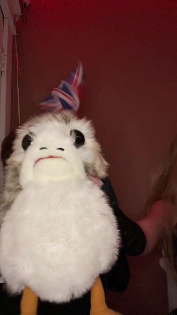 @Kiwi