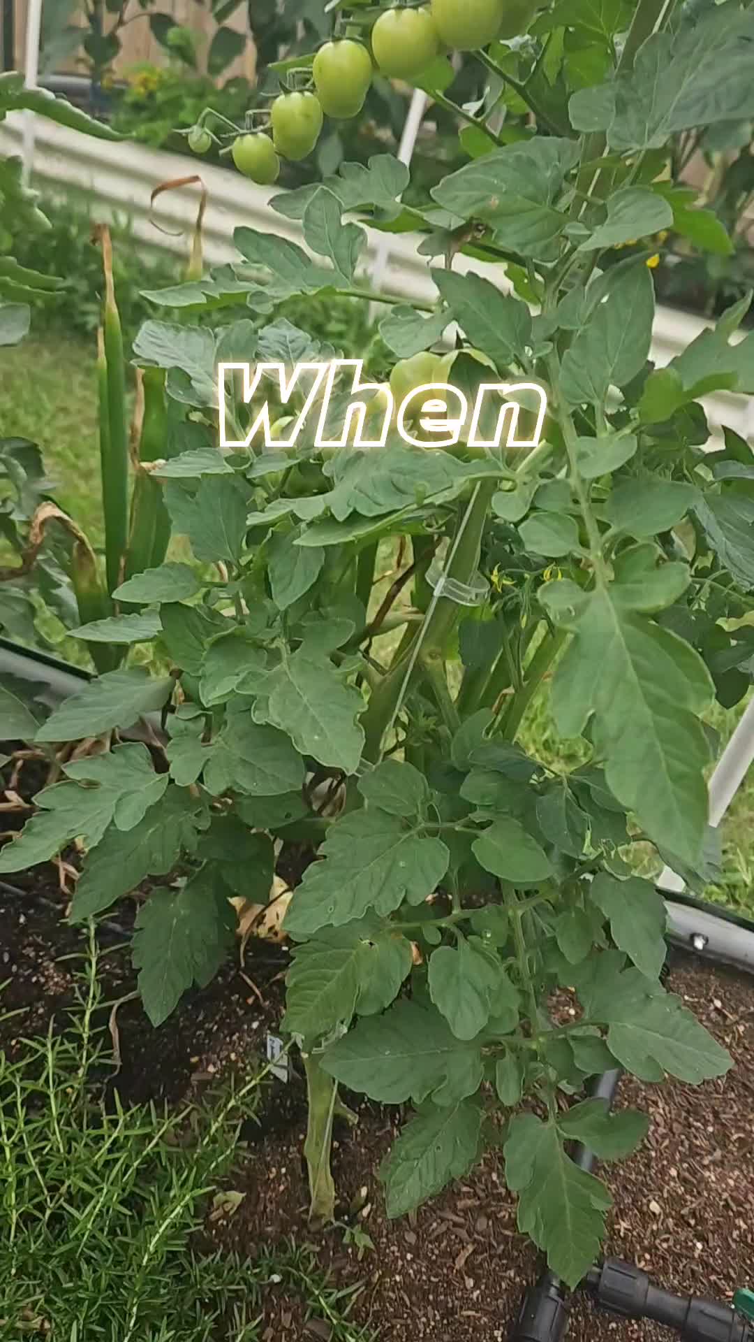 @Irene R.