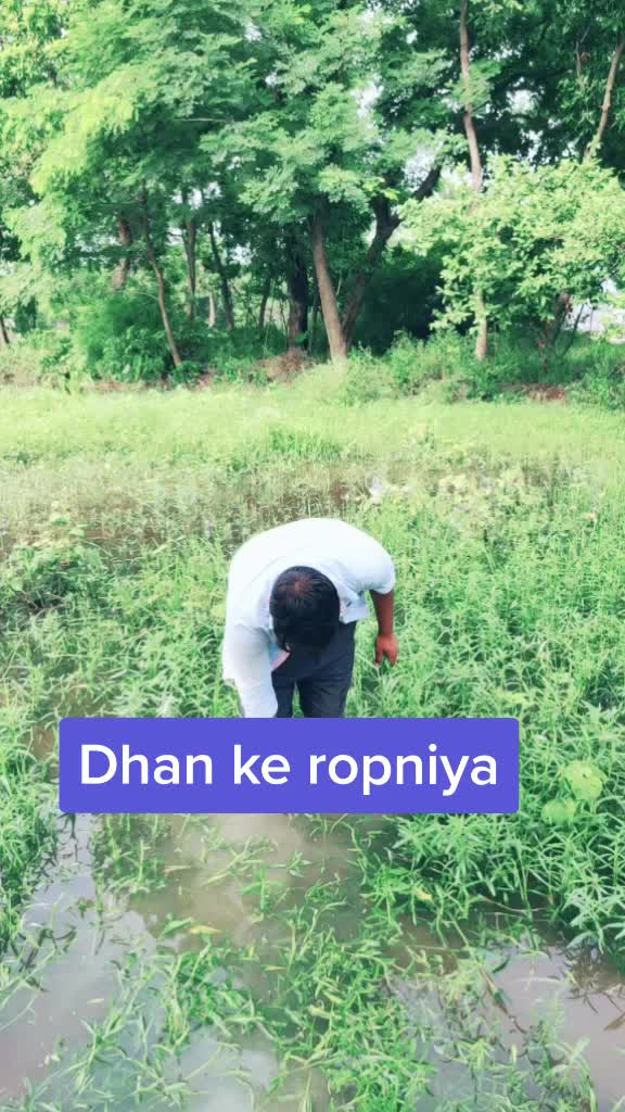 @Rahul kumar