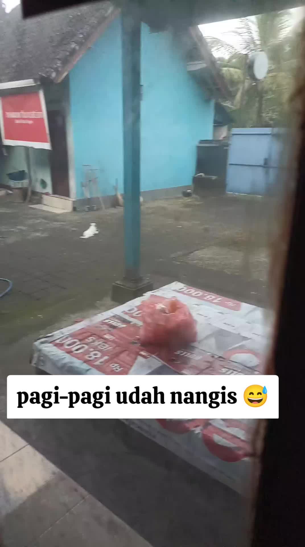 @Anggi Amoris