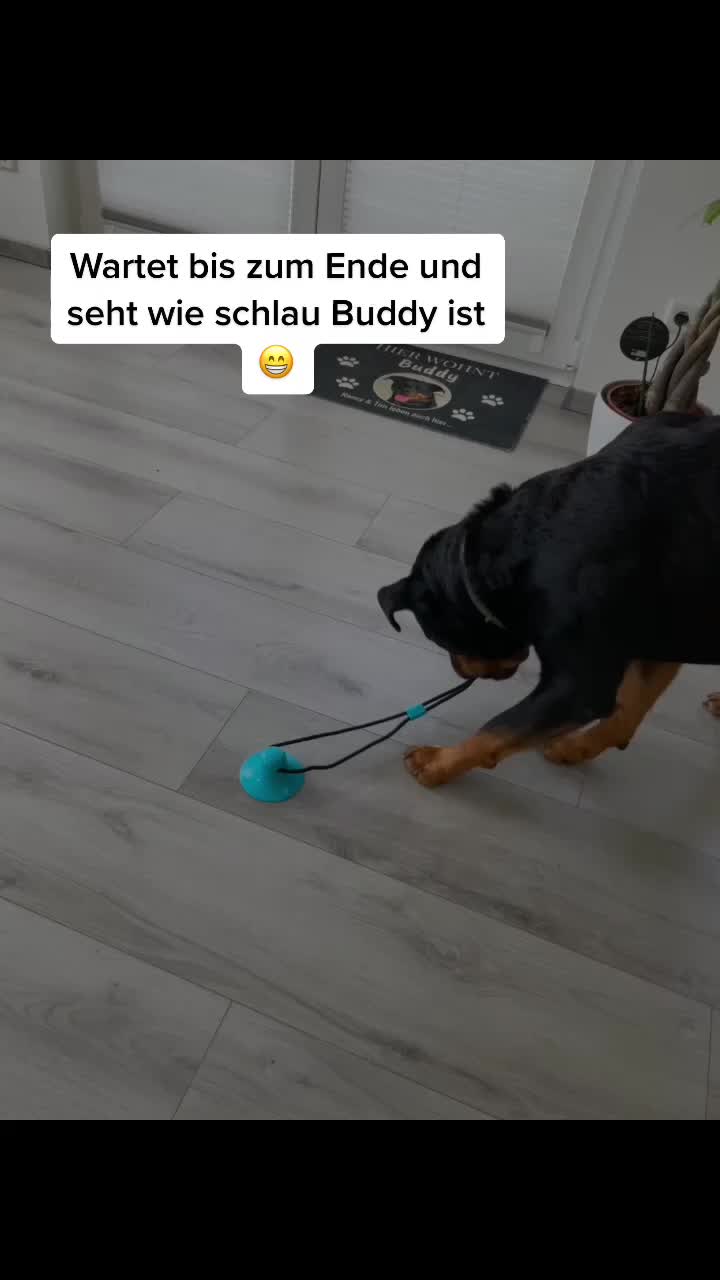 @Naxx & Buddy