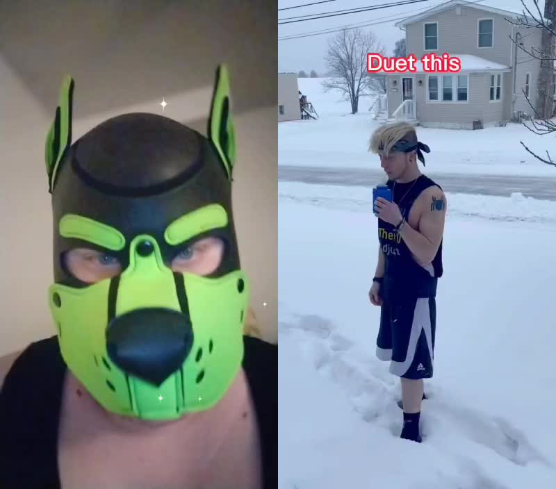 @PupNyonBlitz