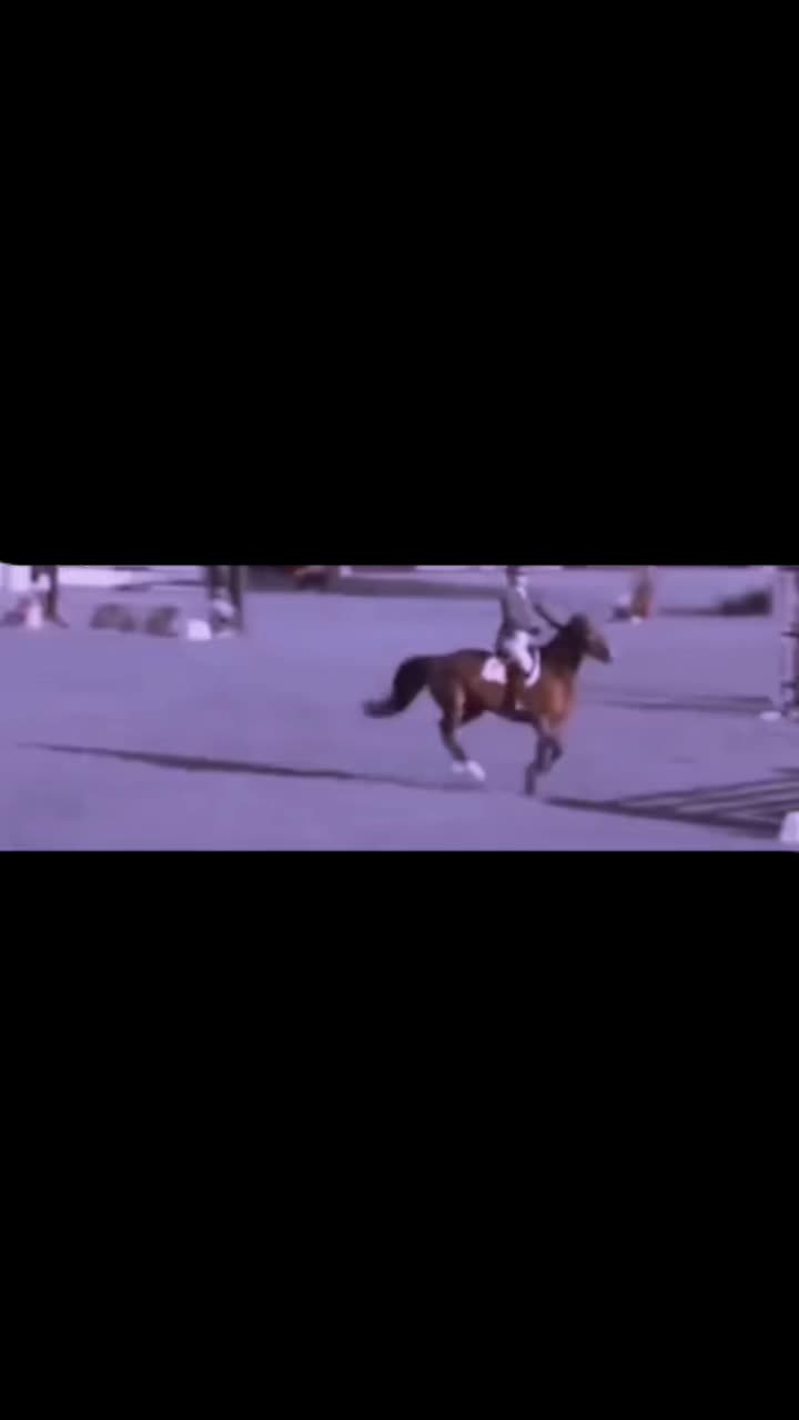 @🏇🏻 нorѕe rιdιng 🏇🏻