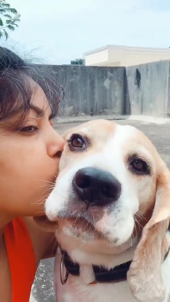 @shiprabasu