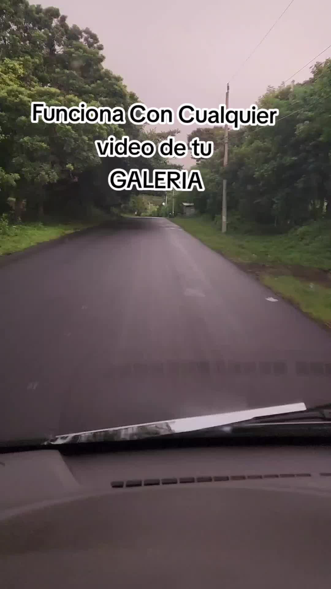 @El Salvador 503 🇸🇻