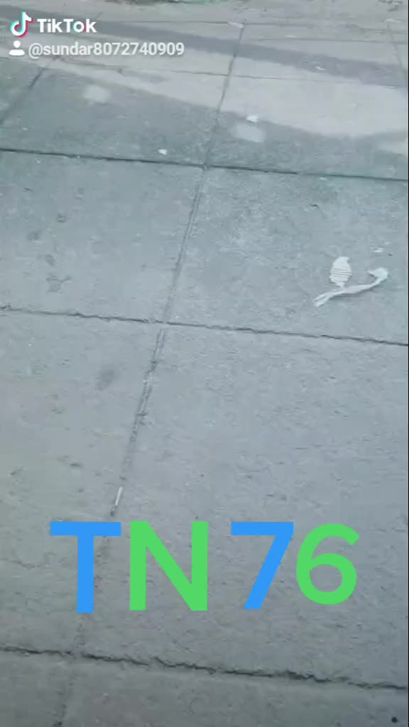 @Tik Toker